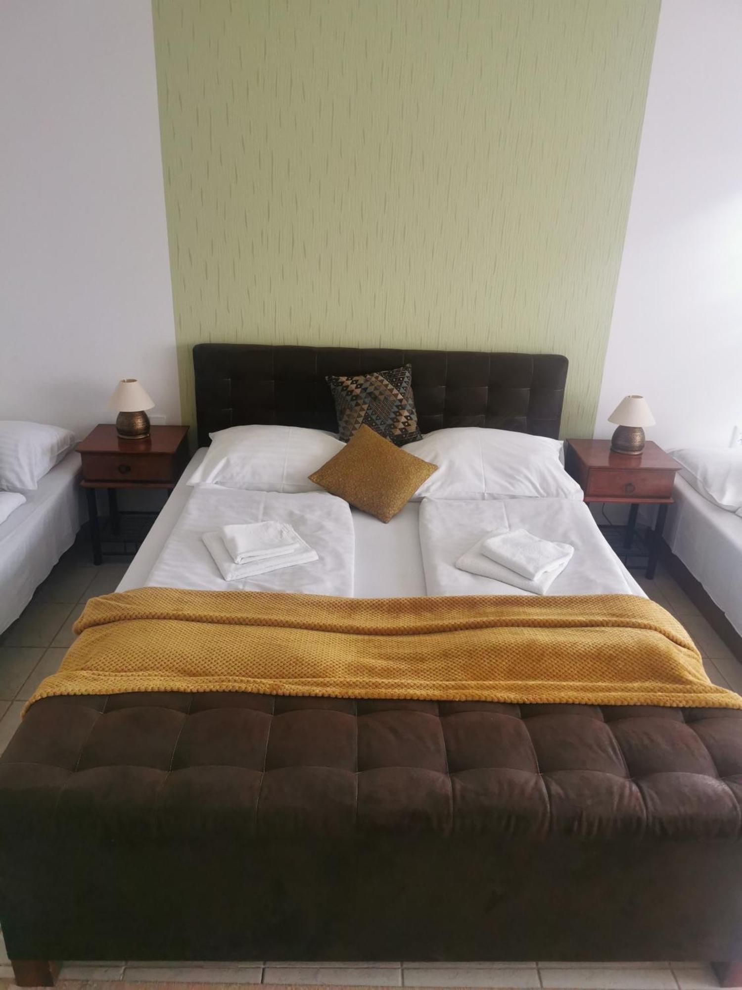 Hotel Diana Nové Mesto nad Váhom エクステリア 写真